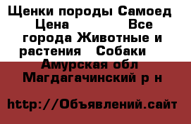 Щенки породы Самоед › Цена ­ 20 000 - Все города Животные и растения » Собаки   . Амурская обл.,Магдагачинский р-н